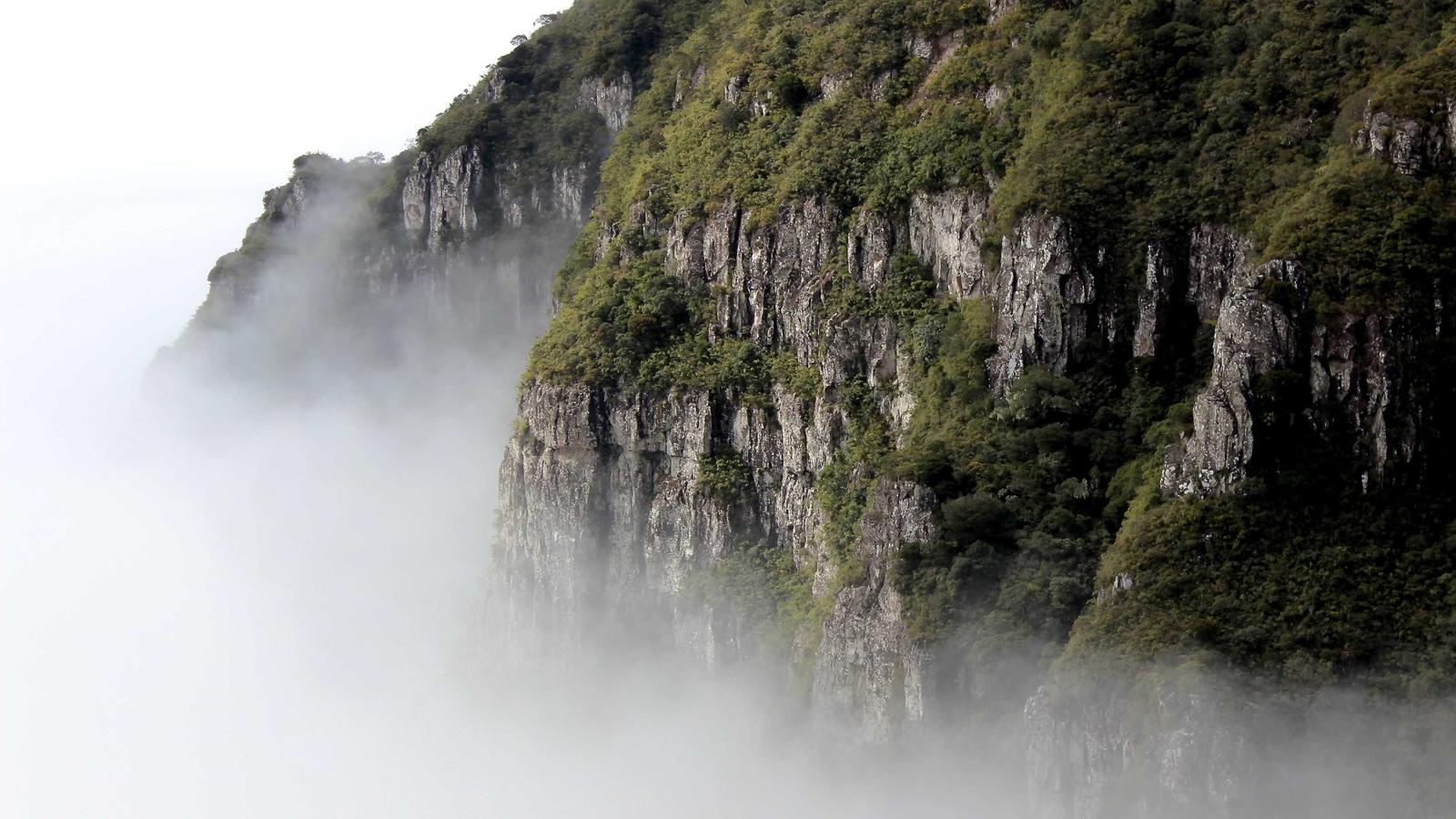 Lion's Legacy: Why an Offline Encrypted Vault Beats a Cloud Manager